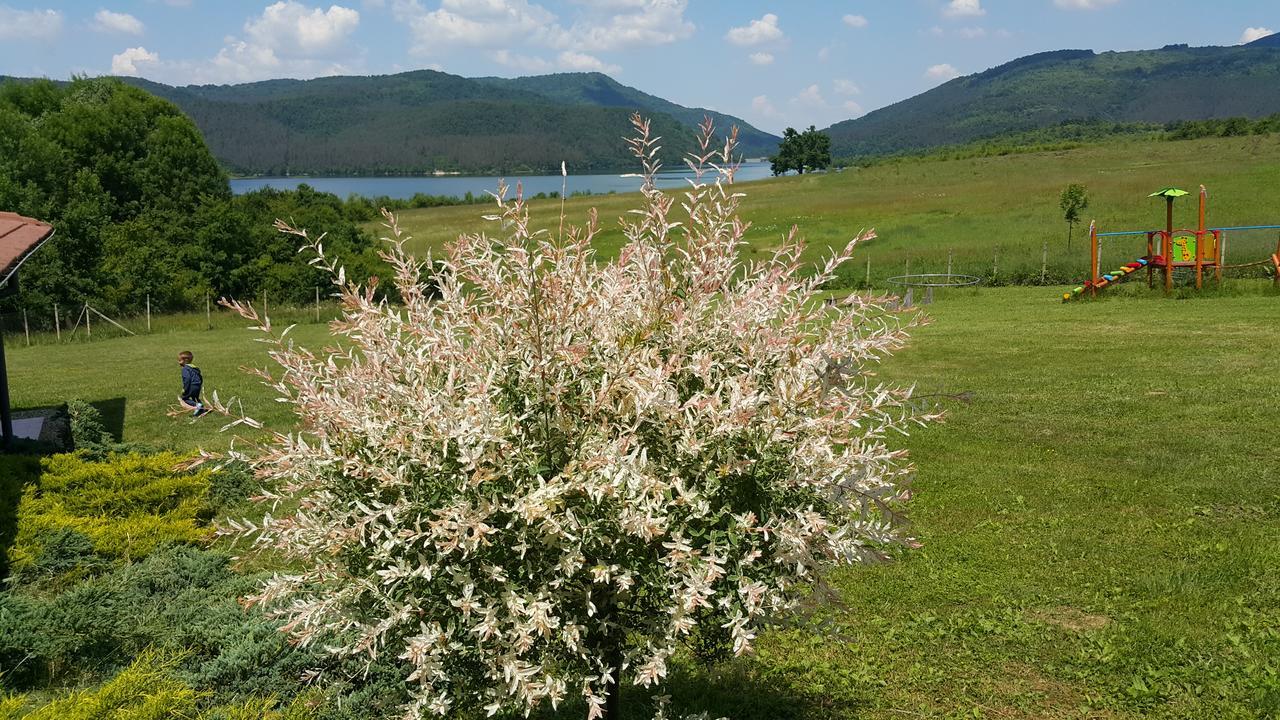 Complex Pristan In The Mountain 호텔 Shilkovtsi 외부 사진